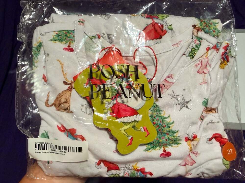 Posh Peanut Sneaky Grinch Twirl Dress - 2 Years NEW NIB
